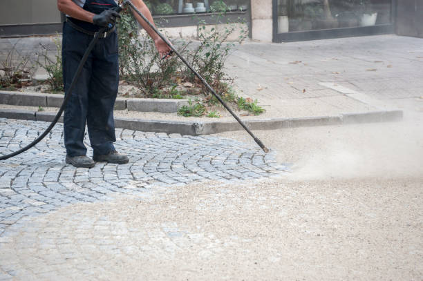 Best Gutter Cleaning  in Harper Woods, MI