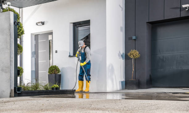 Best Animal Enclosure Cleaning  in Harper Woods, MI
